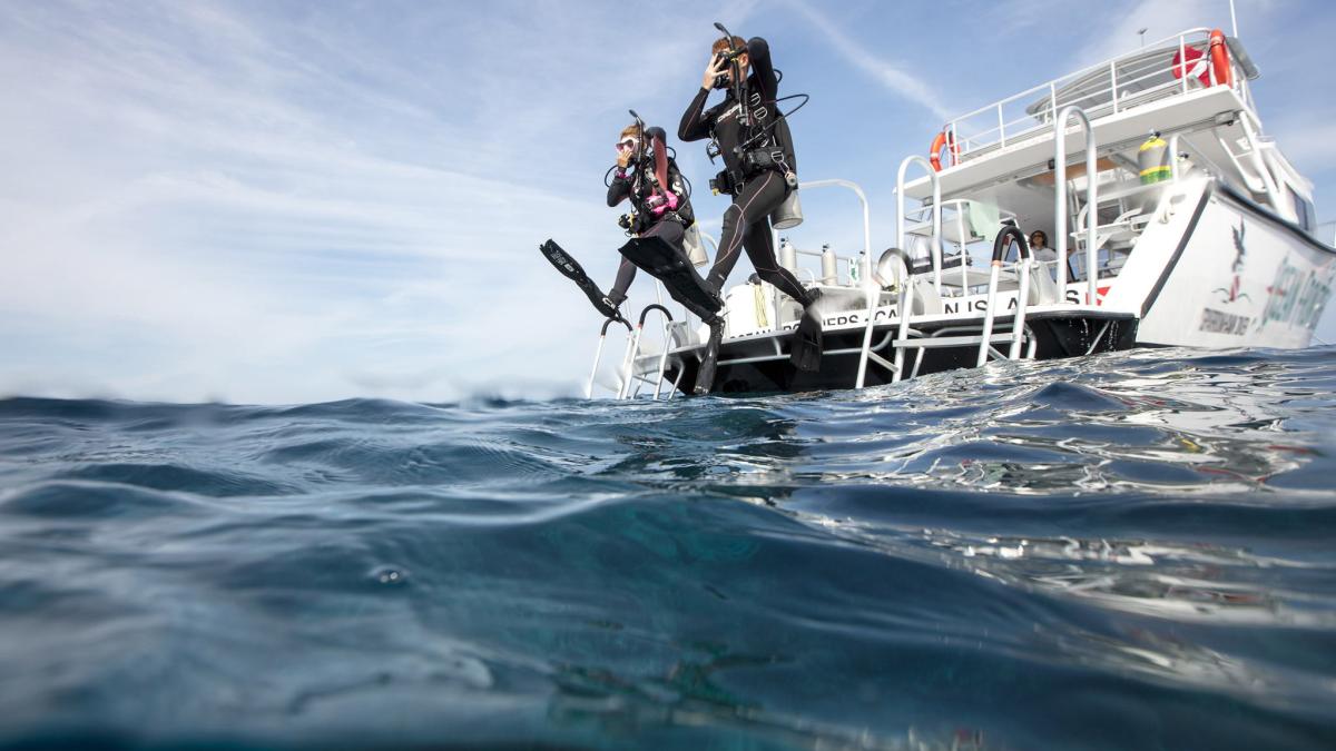 PADI Professional PADI